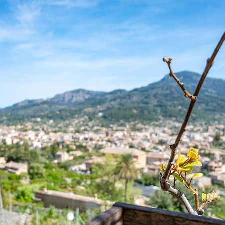 Can Jaumins Soller Luaran gambar